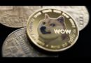 Dogecoin's wild rise in 2021: Yahoo Finance recaps the cryptocurrency's performance this past year