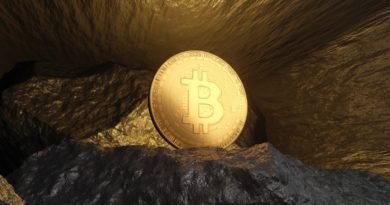 Bitcoin has become 'the ultimate risky asset' amid inflation: Analyst