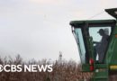 Black farmers still waiting for debt relief from American Rescue Plan