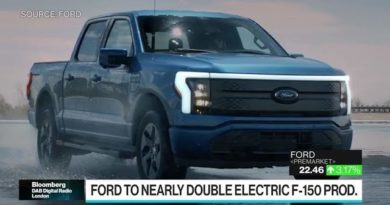 Ford Able to Build 600,000 EVs Annually by 2024: Galhotra