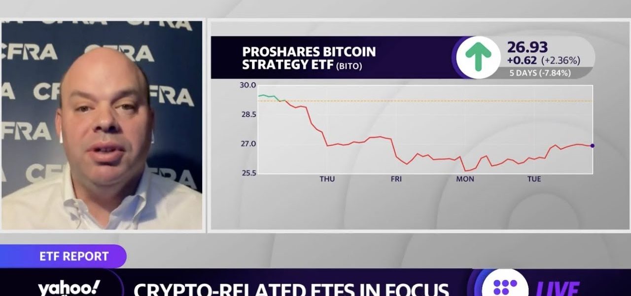 Bitcoin: ‘Investors have stayed loyal to this risk-on asset,’ CFRA head of ETF research says
