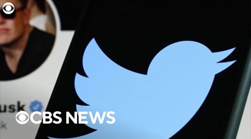 Twitter adopts "poison pill" plan to counter Elon Musk's bid. But what does this plan mean?
