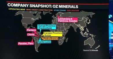 Oz Minerals CEO Cole Sees Another 'Exciting Year'