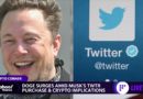 Crypto: Musk’s influence ‘makes regulators and investors nervous,’ expert says