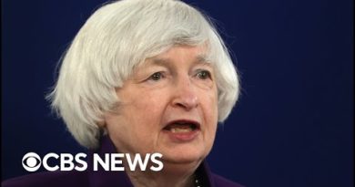 Treasury Secretary Janet Yellen testifies on international financial system | full video