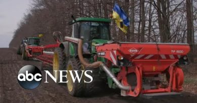 Ukraine’s farmers persevere as war threatens global food supply