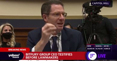 Crypto hearing on Capitol Hill: 'Wallets are critical,' @BitfuryGroup CEO BrianBrooksUS says.