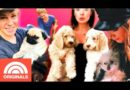 Top 5 Celebrity Pet Tales With Candace Cameron Bure, Bindi & Robert Irwin, and More | TODAY
