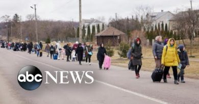 10 million people displaced or forced to flee Ukraine: UN | ABCNL