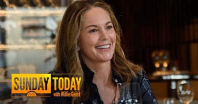 Diane Lane: I Wanted To Bring ‘Humanity’ To The President In ‘Y: The Last Man’