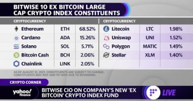 Bitwise launches world’s first ‘Ex Bitcoin’ crypto index fund