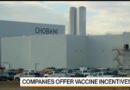 Chobani Will Educate Workers About Benefits of the Covid Vaccine