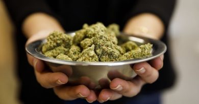 Curaleaf Sees Marijuana Sales Growing Later This Year