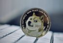 Elon Musk adds to Dogecoin craze amid heightened demand for Shiba Inu dogs: Breeder