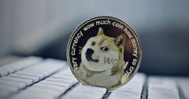 Elon Musk adds to Dogecoin craze amid heightened demand for Shiba Inu dogs: Breeder