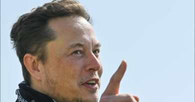 Elon Musk urges government to 'do nothing' to regulate crypto