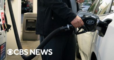 Americans paying record high gas prices as stock market ends brutal week
