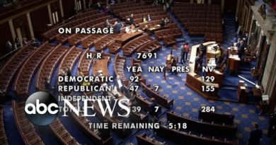 House approves $40 billion aid package for Ukraine | ABCNL