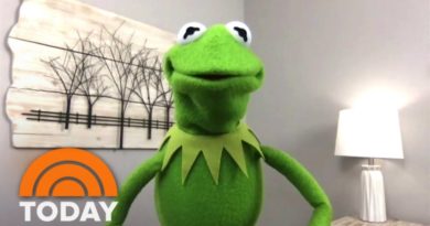 Kermit The Frog Says It's Easy To Be Green With This Advice