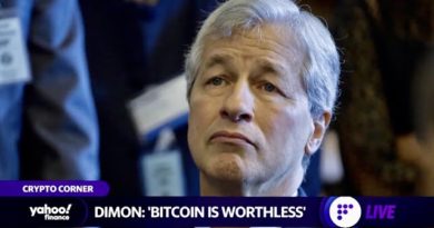 Jamie Dimon slams bitcoin, plus Shiba Inu cryptocurrency jumps rises 385% in one week