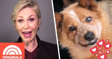 Jane Lynch's Recovering Rescue Dog Is An Instagram Star | My Pet Tale | TODAY ORIGINALS