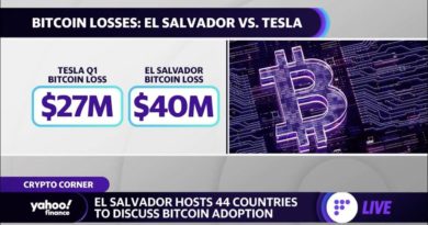 Bitcoin crash costs El Salvador $40 million, Tesla faces millions in losses from bitcoin