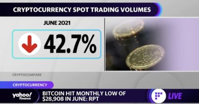 Bitcoin's summer slump: Cryptocurrency hits a monthly low of $28,908 in June