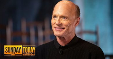 ‘Westworld’ Star Ed Harris: ‘Mockingbird’ Messages Are ‘Intentional’ | TODAY