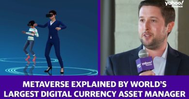 What is 'metaverse'? A digital currency asset manager explains