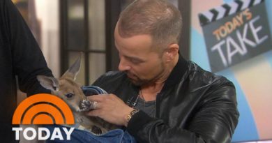 Joey Lawrence Gets A Surprise Visit From A Very Different Kind Of ‘Joey’ | TODAY