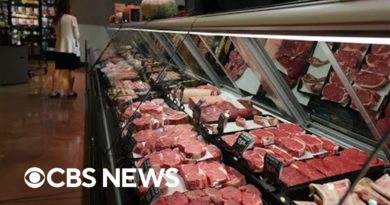 Rising cost of beef and chicken is causing consumers to look for alternatives
