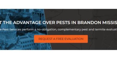 Pest Control Brandon MS - Advantage Pest Services 1490 W Government St Ste 7, Brandon, MS 39042 (601) 540-0814